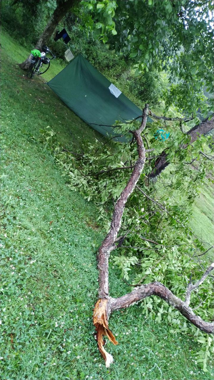 Una rama de tres o cuatro metros caída junto a mi campamento